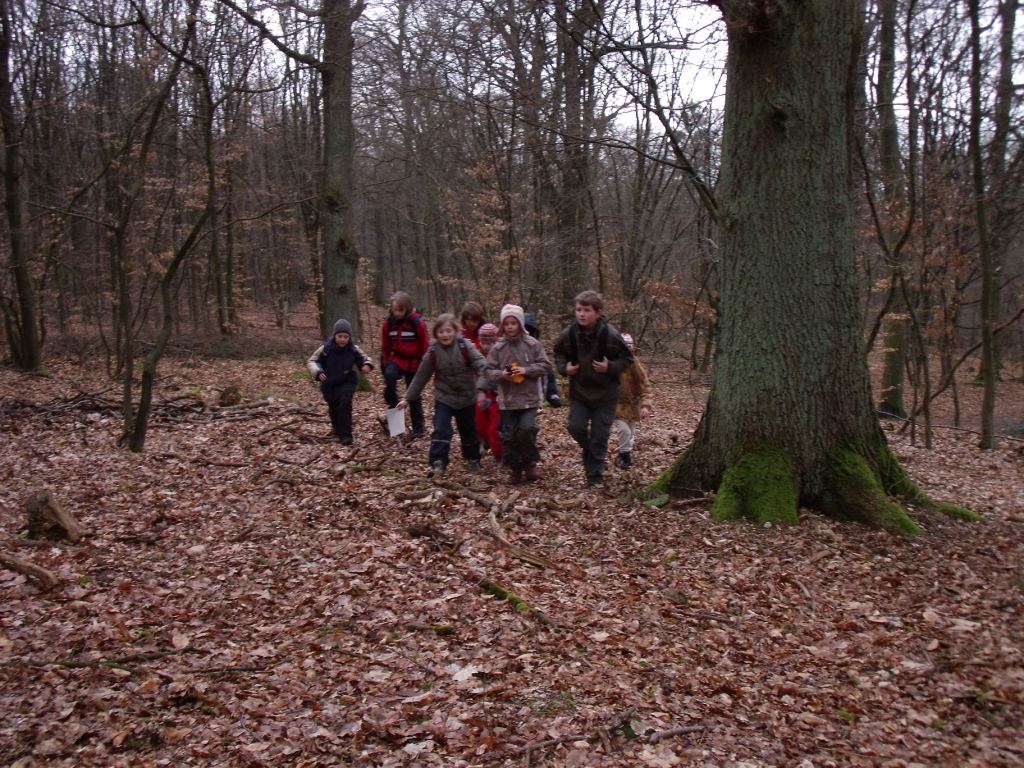 Altenrather Heide-Scouts Wahner Heide