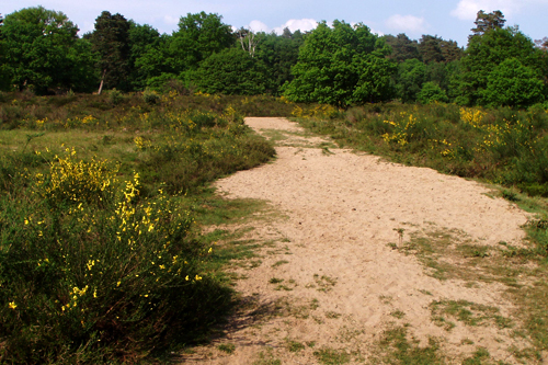 Fliegenberg