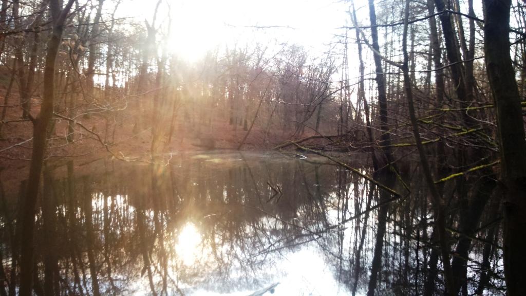 Altenrather Heide-Scouts Wahner Heide