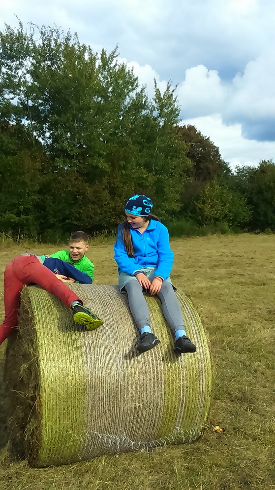 Altenrather Heide-Scouts Wahner Heide