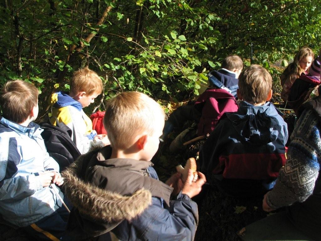 Altenrather Heide-Scouts Wahner Heide