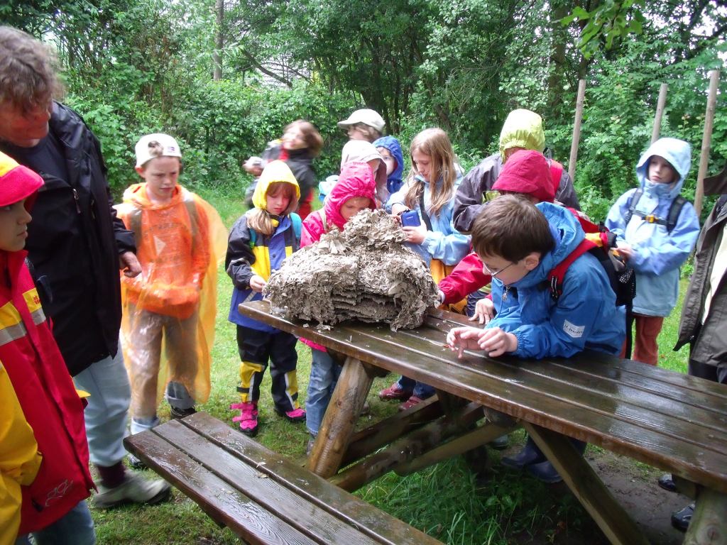 Altenrather Heide-Scouts Wahner Heide