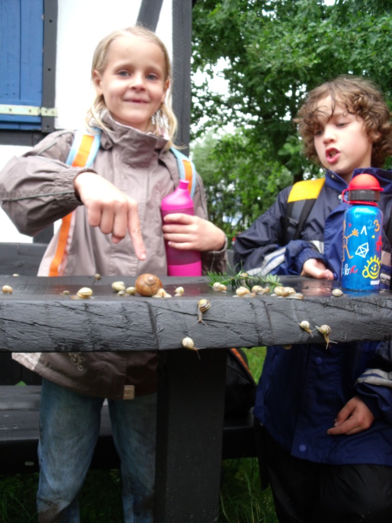 Altenrather Heide-Scouts Wahner Heide