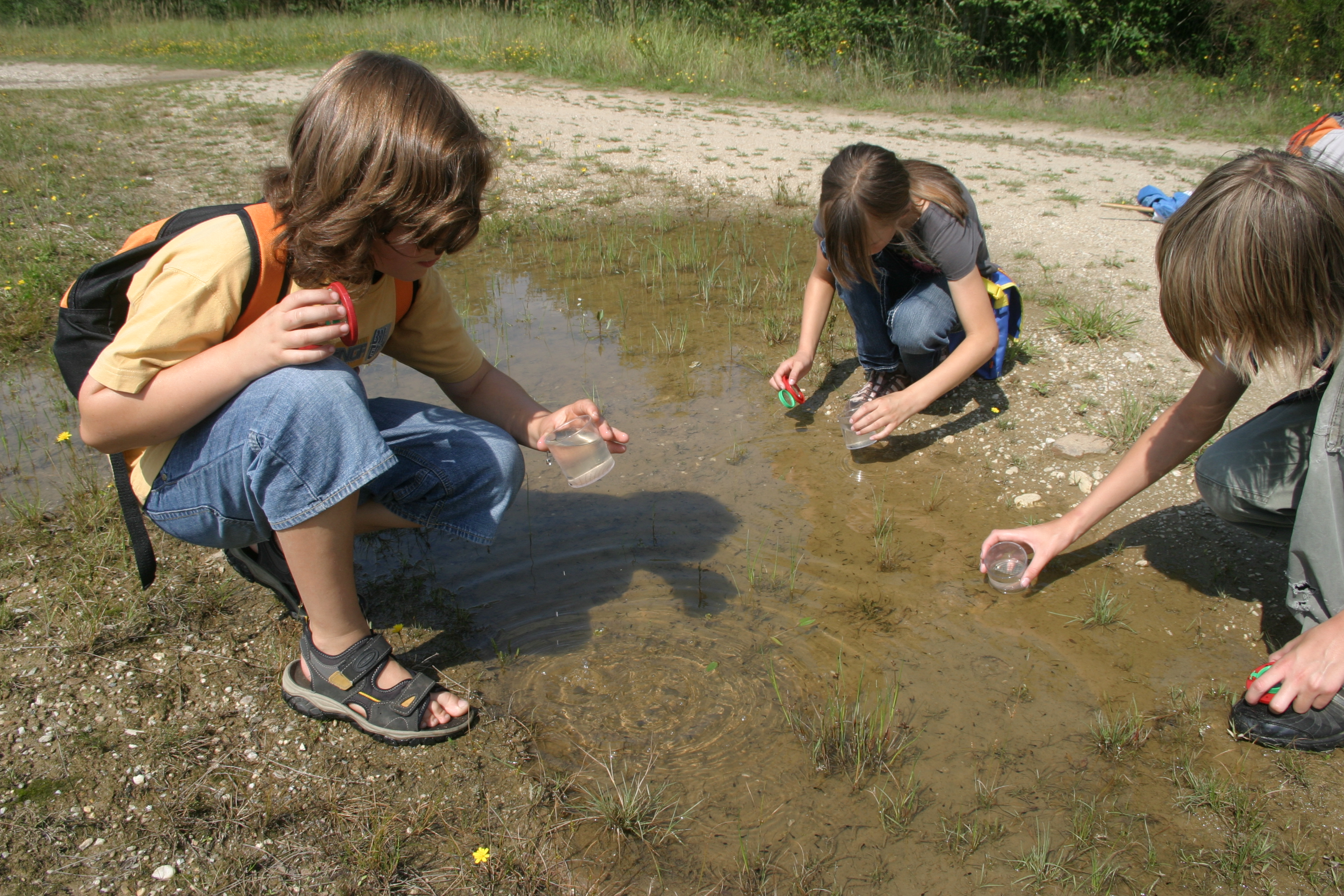 Altenrather Heide-Scouts Wahner Heide