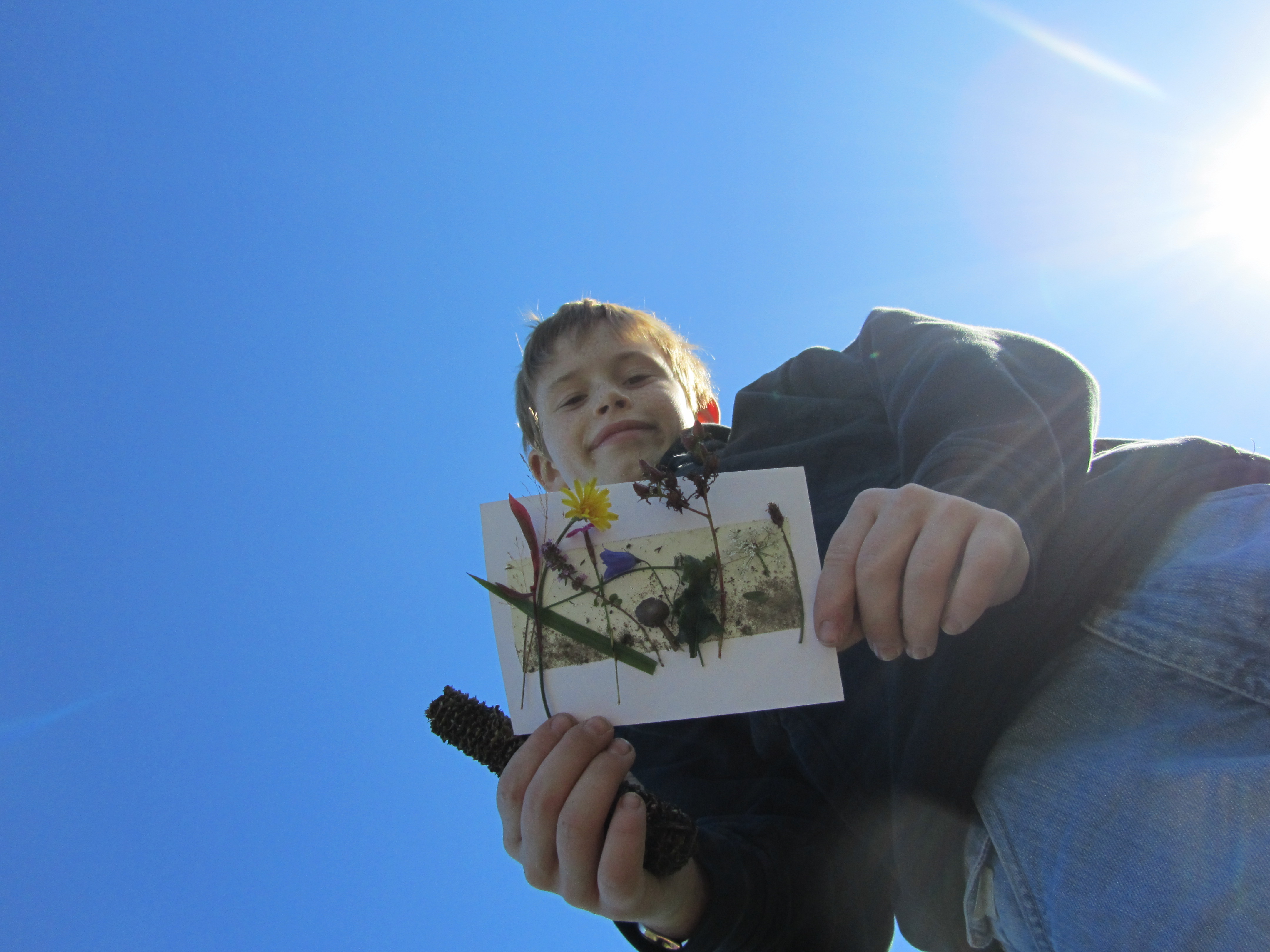 Altenrather Heide-Scouts Wahner Heide