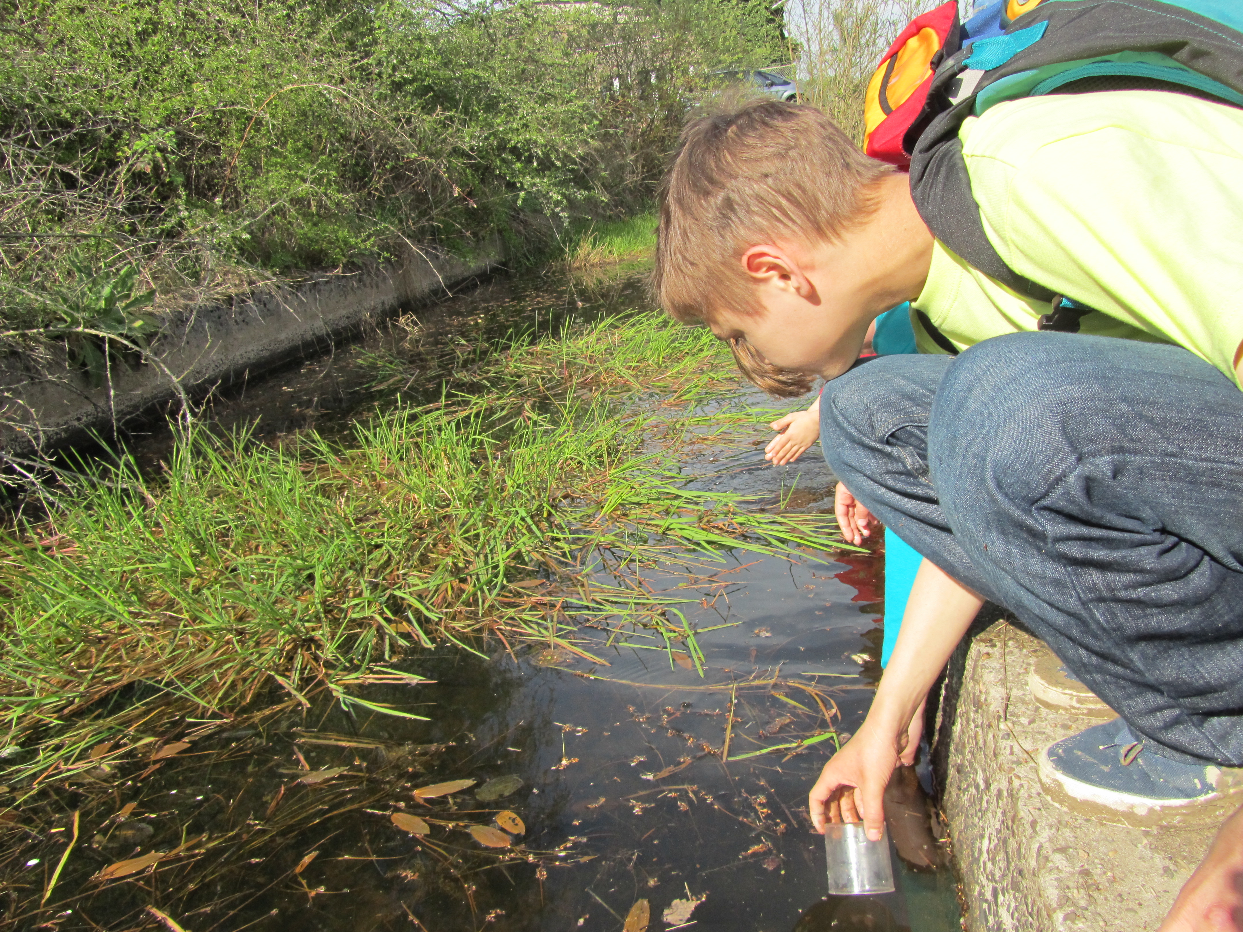 Altenrather Heide-Scouts Wahner Heide