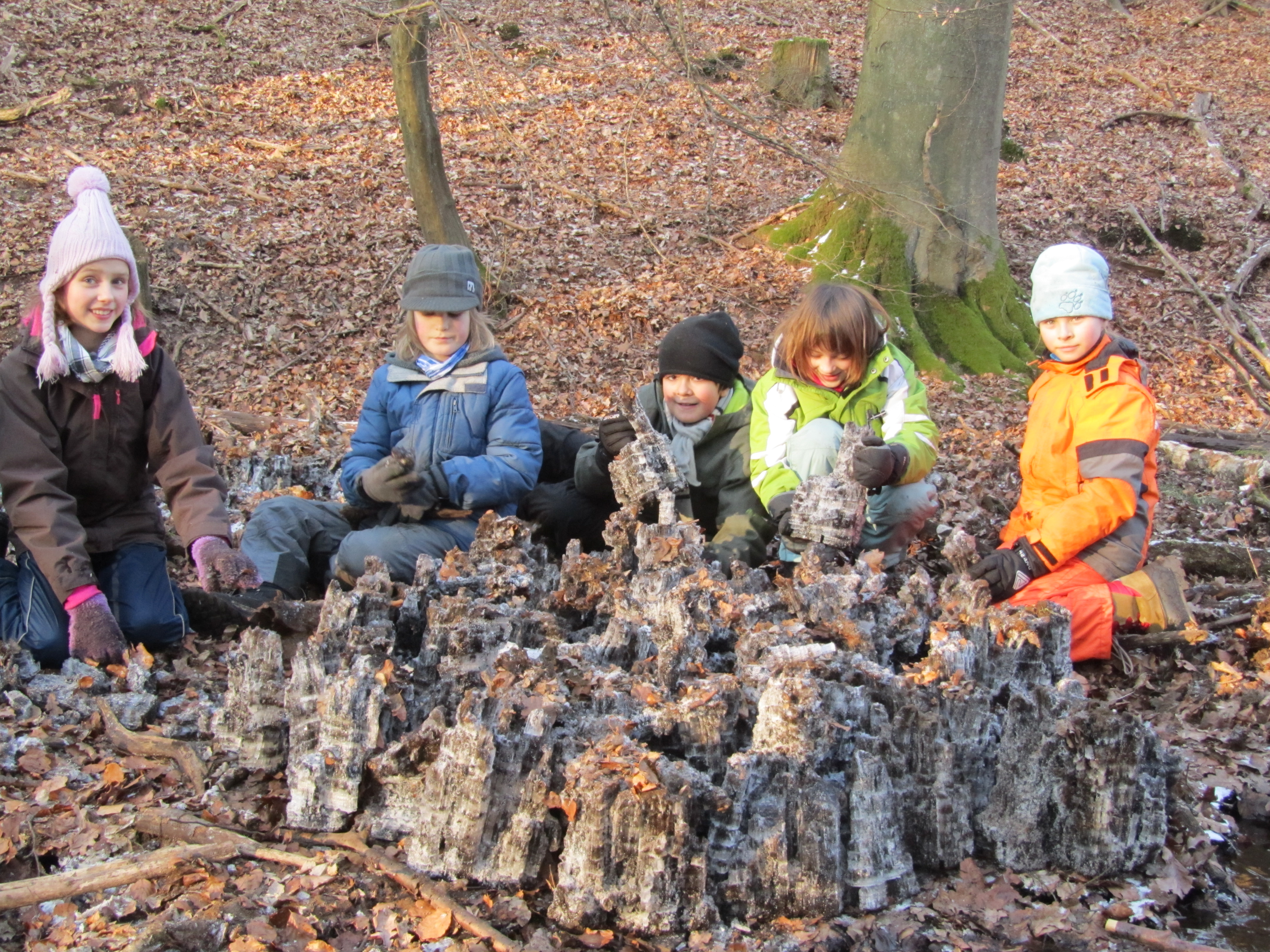 Altenrather Heide-Scouts Wahner Heide