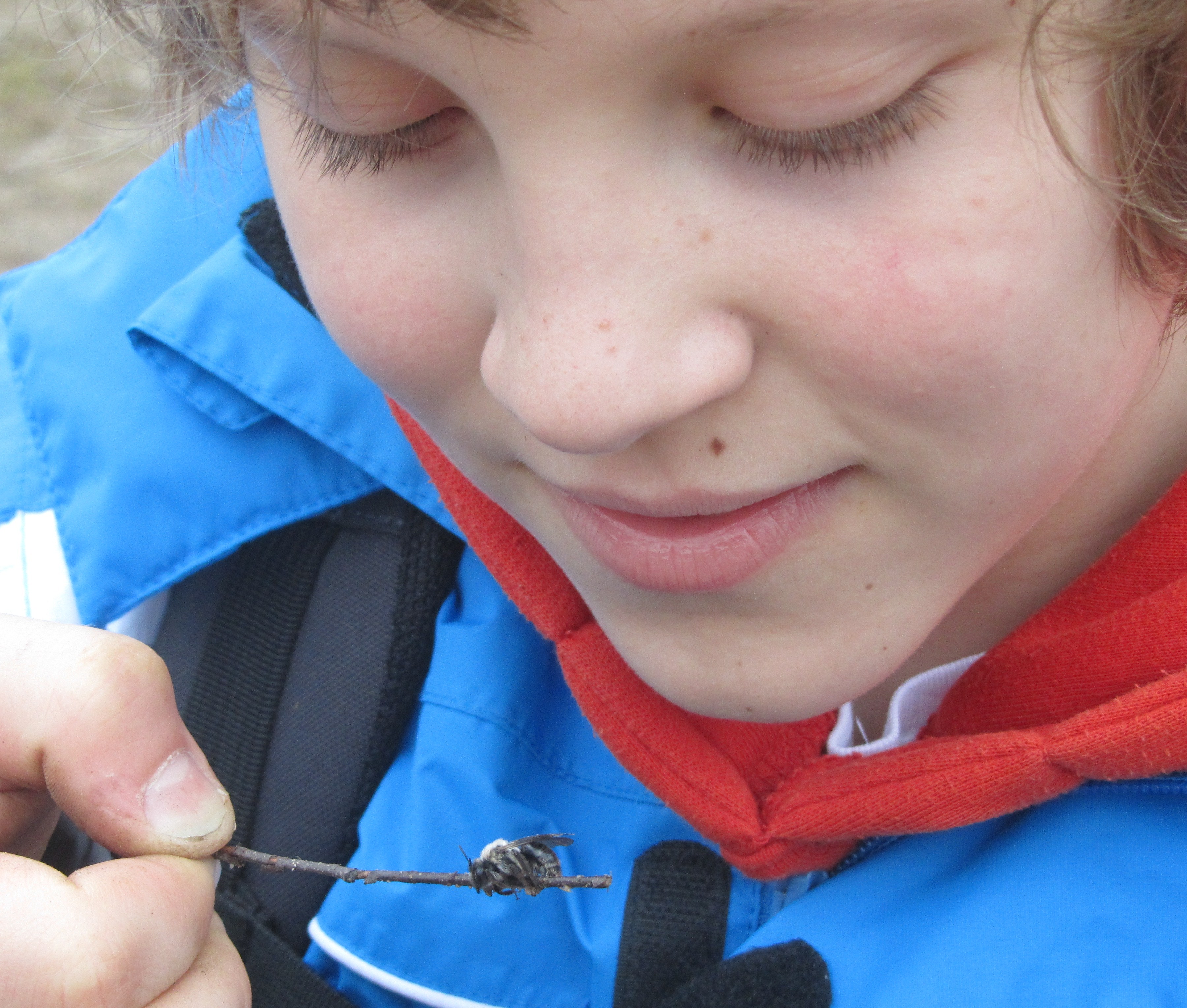 Altenrather Heide-Scouts Wahner Heide