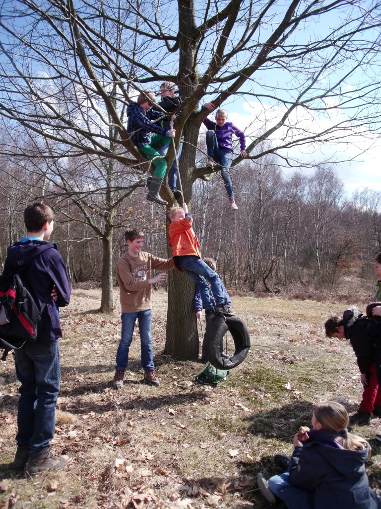 Altenrather Heide-Scouts Wahner Heide