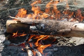 Altenrather Heide-Scouts Wahner Heide